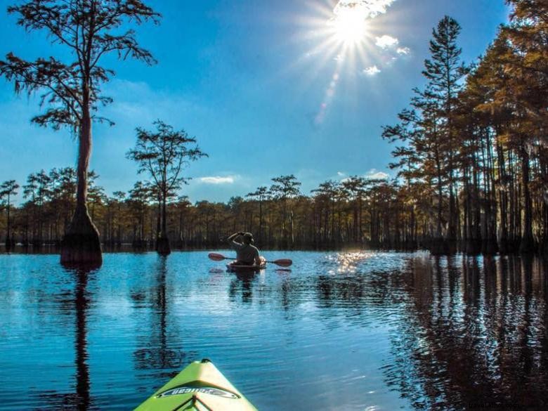 Explore George L. Smith State Park – Scenic Trails, Wildlife & Family Recreation