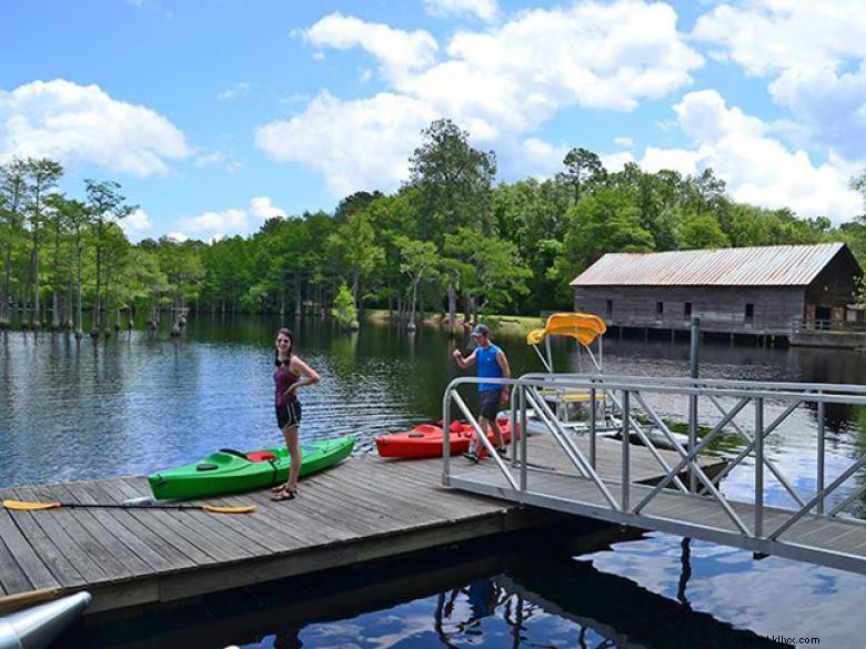 Explore George L. Smith State Park – Scenic Trails, Wildlife & Family Recreation