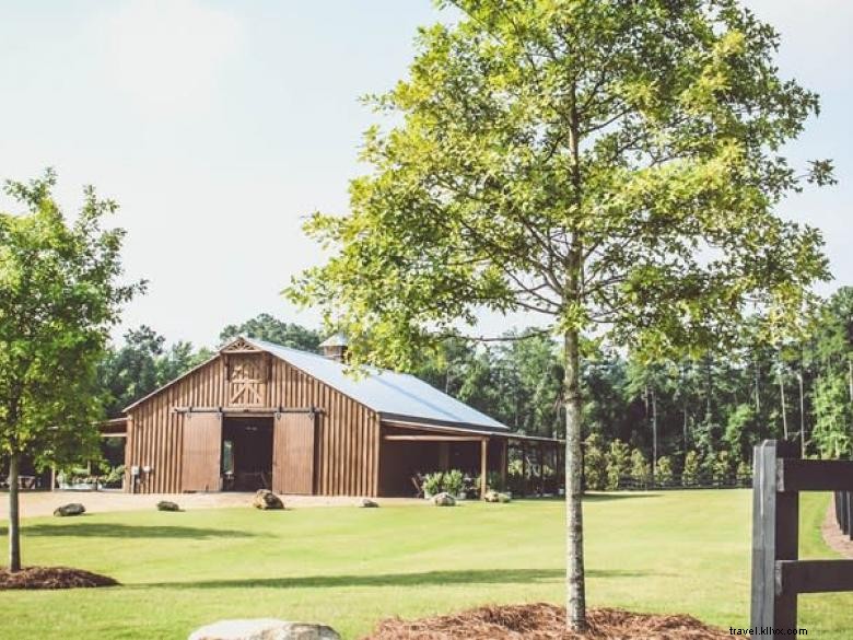 Discover Cozy Cabins at Pine Knoll Farms – Luxury Retreats in the South