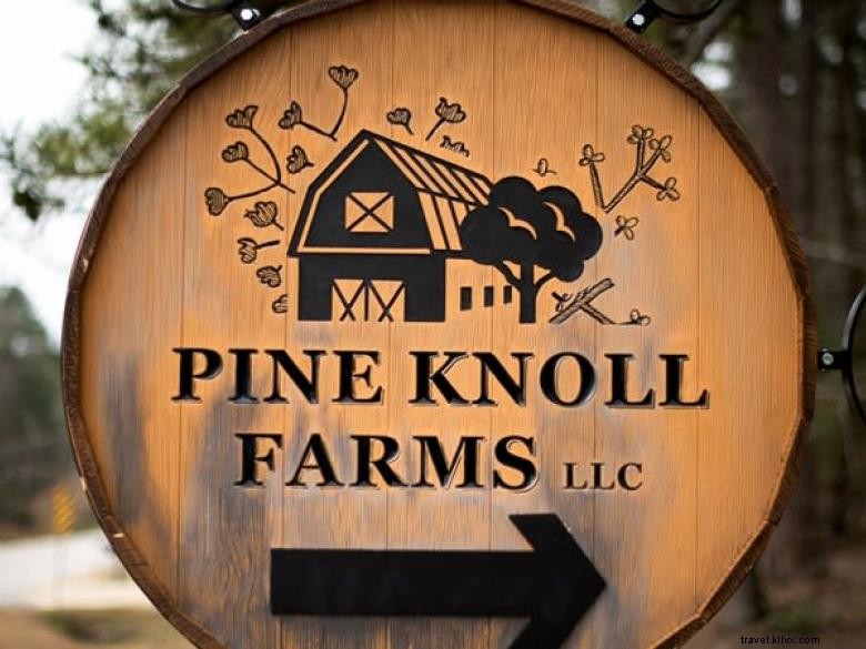 Discover Cozy Cabins at Pine Knoll Farms – Luxury Retreats in the South