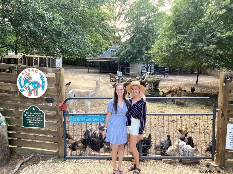 Decatur Alpaca Cottage: A Cozy Retreat for Alpaca Lovers