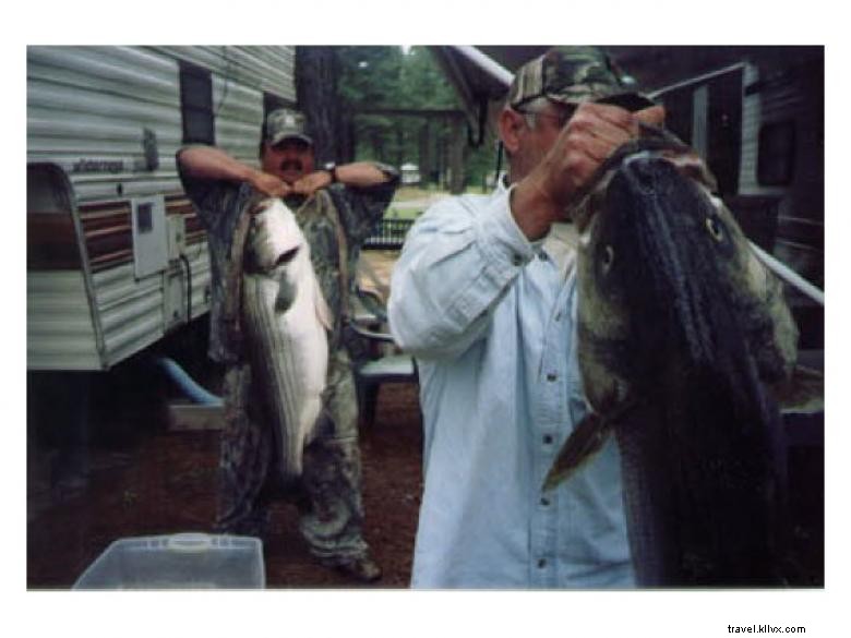 Pine-Der-Rosa RV Park & Campground – Your Mountain Escape in Northeast Georgia