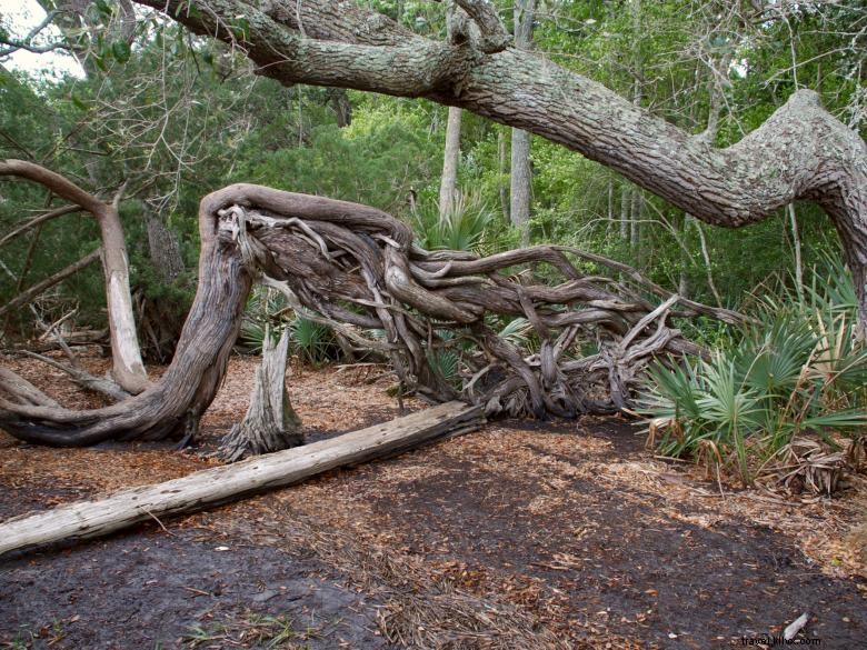 Explore Crooked River State Park: Scenic Trails, Family Fun, and Historic Sites