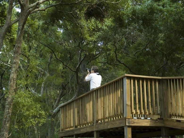 Explore Crooked River State Park: Scenic Trails, Family Fun, and Historic Sites