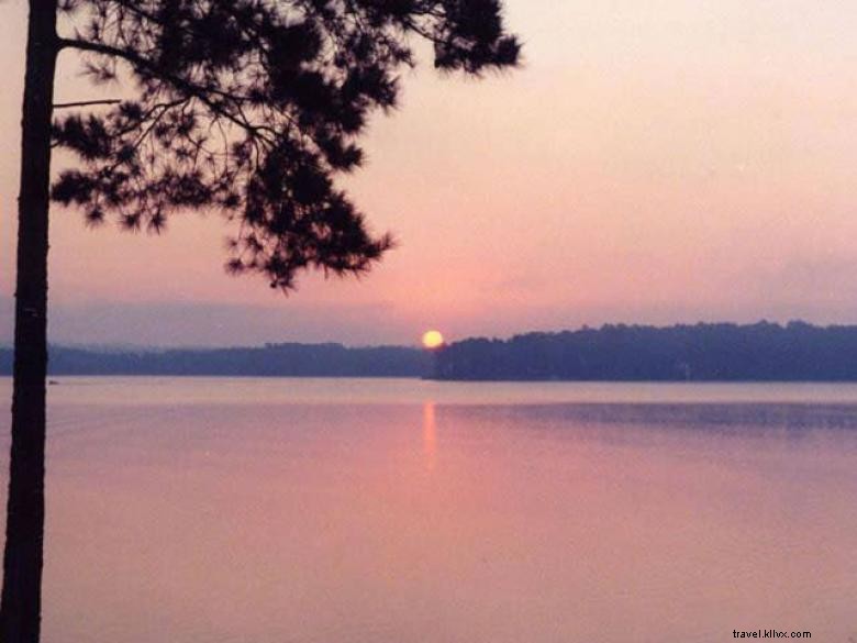 Explore Bobby Brown Park – Scenic Trails, Lake Views, and Camping Adventures