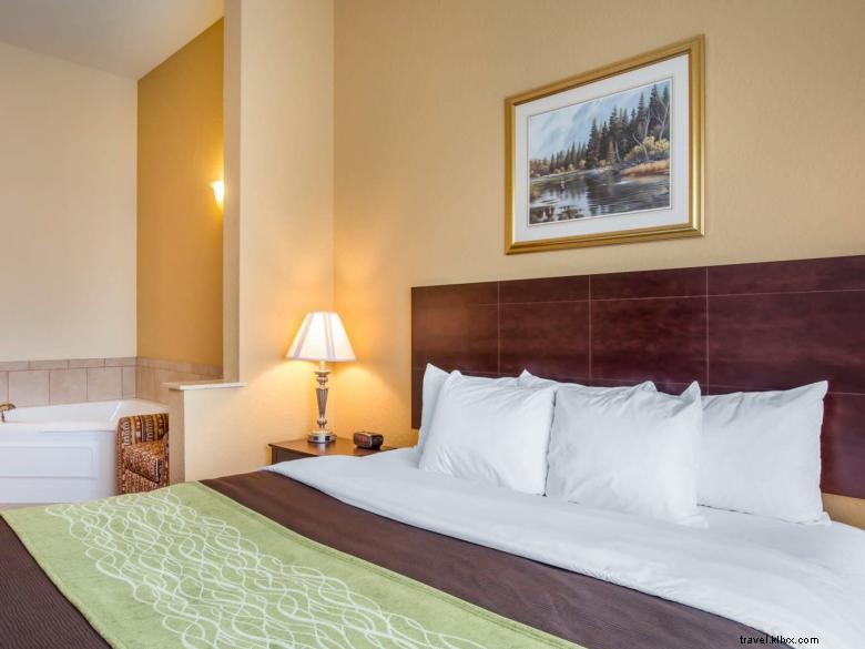 Comfort Inn Blackshear – Comfortable Rooms & Great Service