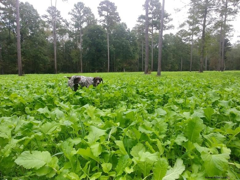 Explore Woods-N-Water: Premier Hunting & Fishing Adventures