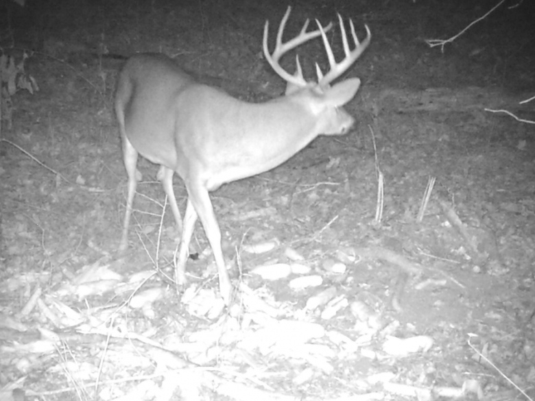 Explore Woods-N-Water: Premier Hunting & Fishing Adventures