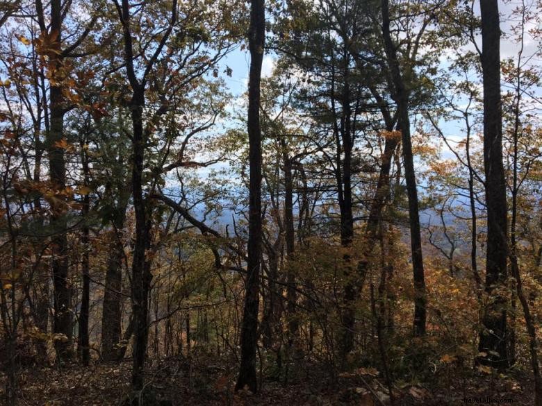 Nottely River Campground – Scenic Riverside Retreat