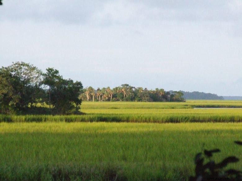 Dunham Farms: A Serene Getaway by Dickinson Creek