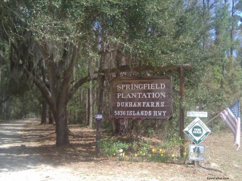 Dunham Farms: A Serene Getaway by Dickinson Creek