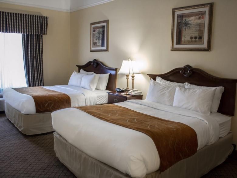 Comfort Suites Savannah North – Port Wentworth | Modern Comfort & Convenient Location