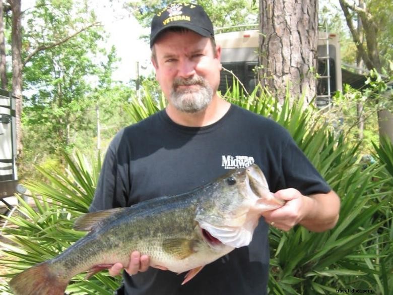 Lake Harmony RV Park – Scenic Retreat & Premium Amenities