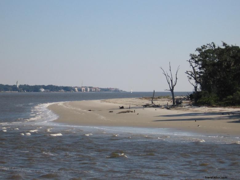 Beachview Club Hotel – Premium Beachfront Resort