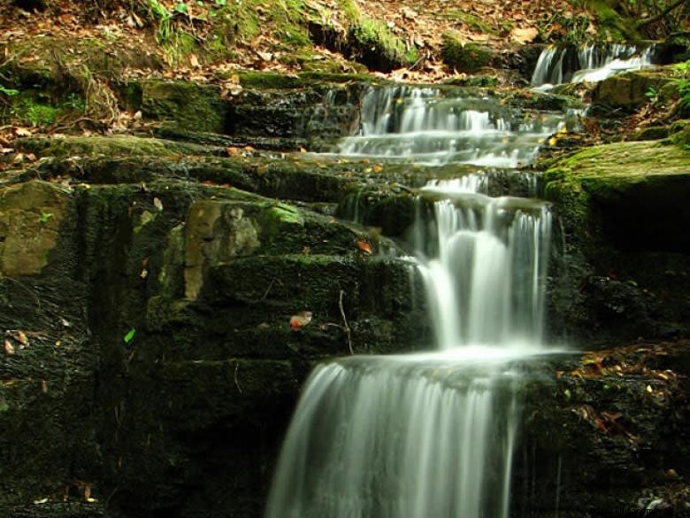 Mountain Top Inn & Resort – Luxury Lodge with Hot Tubs & Scenic Views