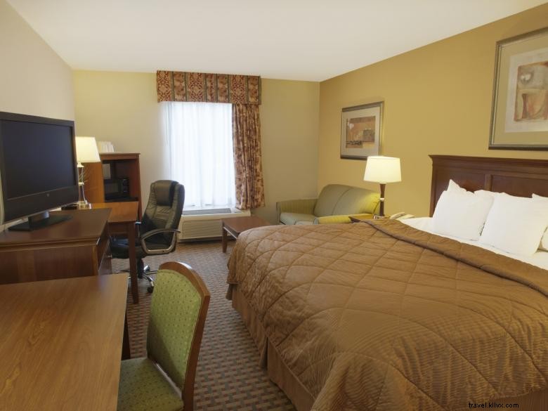 Stay Comfortable & Convenient at Quality Inn & Suites in Dawsonville