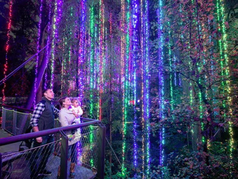 Elevate Your Garden: Stunning Holiday Lights for a Magical Night