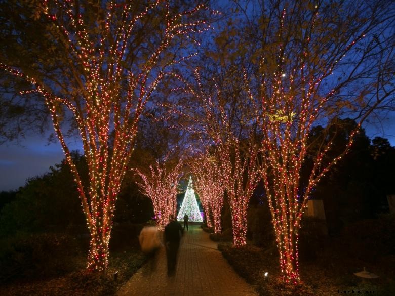 Elevate Your Garden: Stunning Holiday Lights for a Magical Night