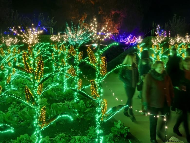 Elevate Your Garden: Stunning Holiday Lights for a Magical Night