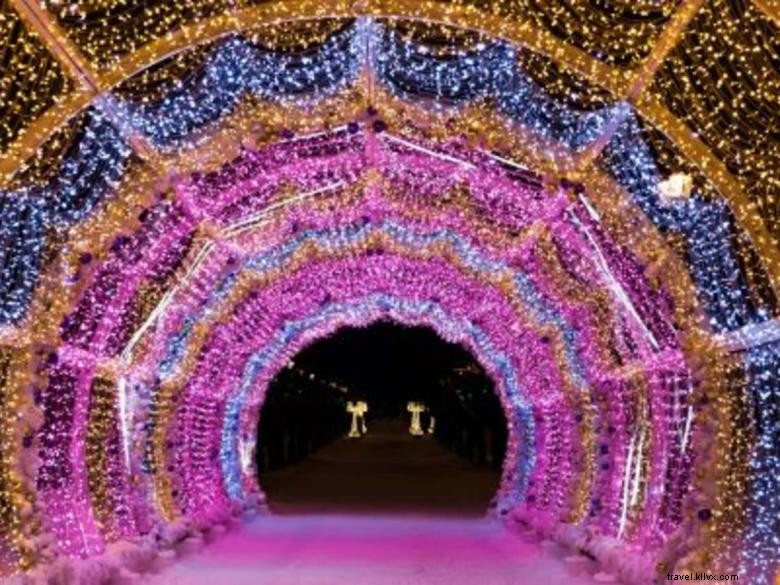 Secure Your License to Chill on Snow Island – Fast & Reliable