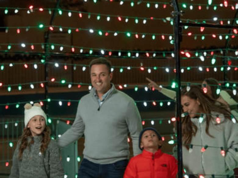 Secure Your License to Chill on Snow Island – Fast & Reliable