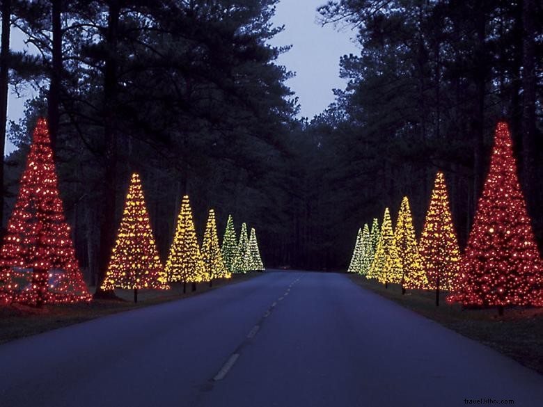 Fantasy In Lights: A Spectacular Holiday Light Show