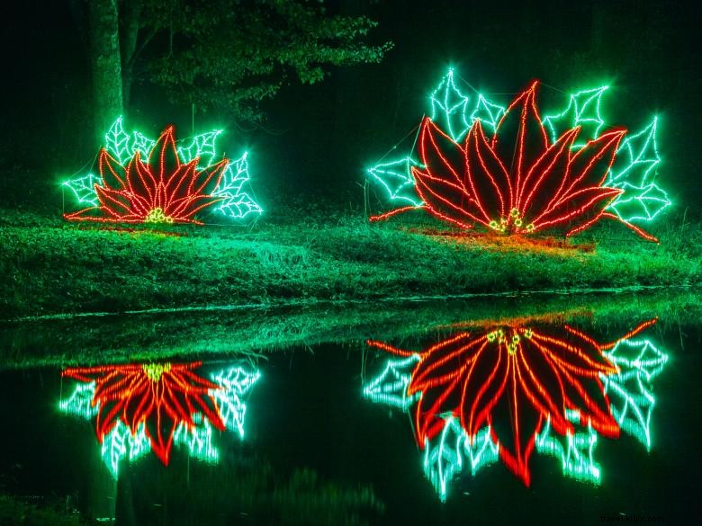 Fantasy In Lights: A Spectacular Holiday Light Show