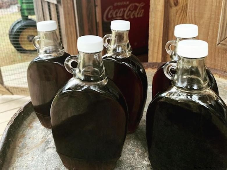 Experience the Dauset Trails Syrup Festival: Authentic Maple Syrup Tastings & Family Fun