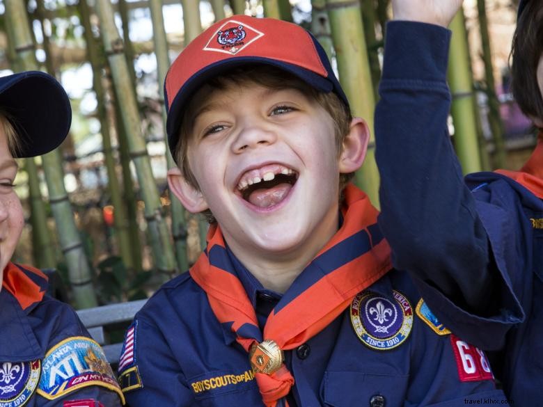 Scout Appreciation Day: Honoring Dedicated Scouts