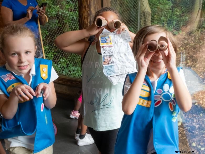 Scout Appreciation Day: Honoring Dedicated Scouts