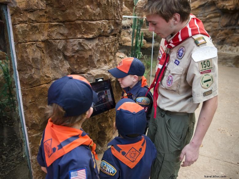 Scout Appreciation Day: Honoring Dedicated Scouts