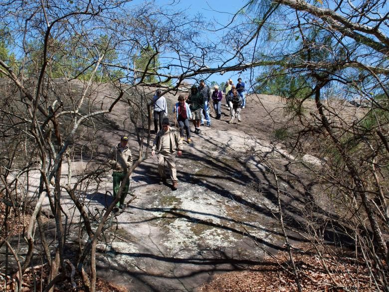 Panola Mountain Summit Hike – Guided by Friends of Panola Volunteers, Saturday, Nov 20, 2021
