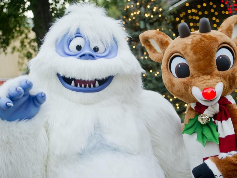 Stone Mountain Christmas 2013: Experience the Magic