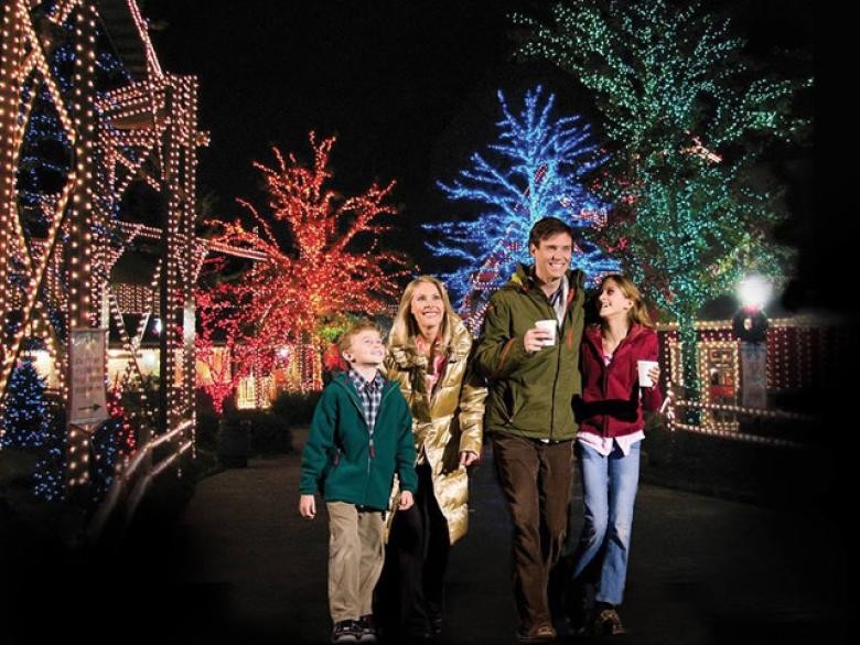 Stone Mountain Christmas 2013: Experience the Magic
