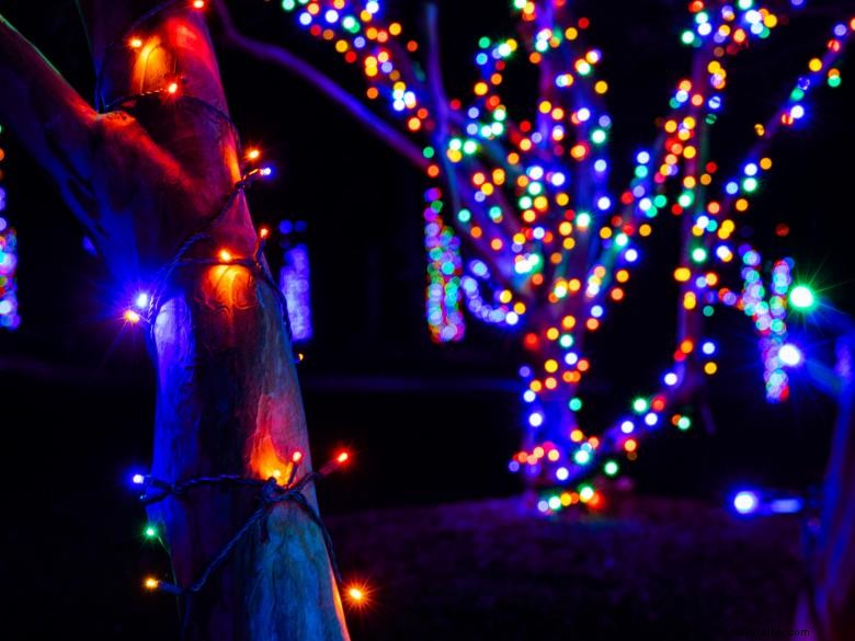 Lockerly Illuminated: Celebrating Historic Milledgeville Lights