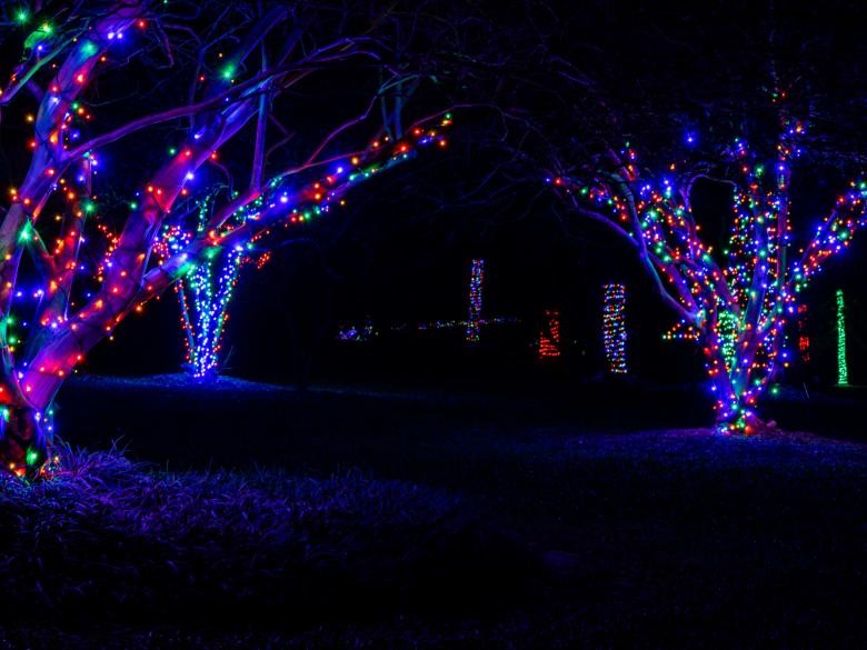 Lockerly Illuminated: Celebrating Historic Milledgeville Lights