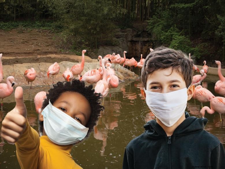 Safari Camp: Adventures Await When School’s Out