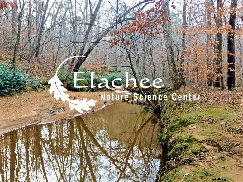 Explore New Student Open Houses – Schedule, Visitor Limits, and More