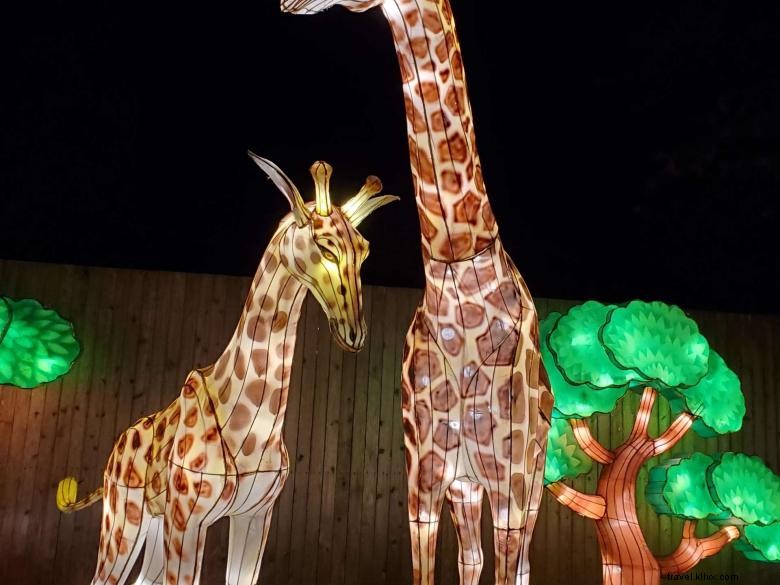 Explore the Spectacular Chinese Lantern Festival at Atlanta s Zoo