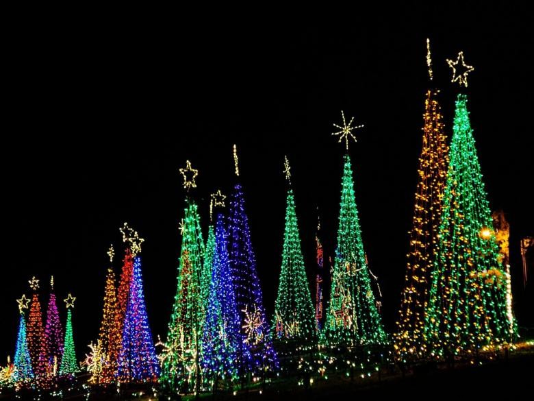 Lights of Life: Atlanta s Spectacular Holiday Light Show with Petting Zoo, Rides & Family Fun