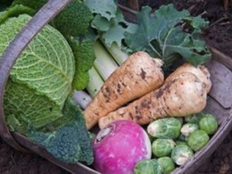 Explore Freshness at Flowery Branch Winter Farmers Market