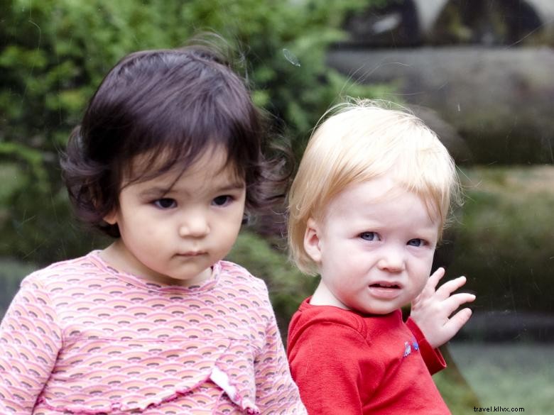 Explore with Adventure Cubs: Activities for Ages 0-5 in Atlanta Metro