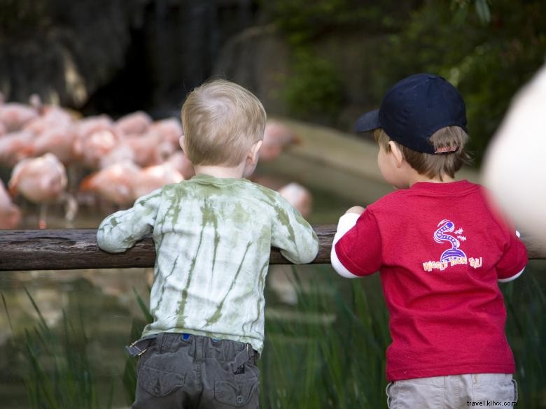 Explore with Adventure Cubs: Activities for Ages 0-5 in Atlanta Metro