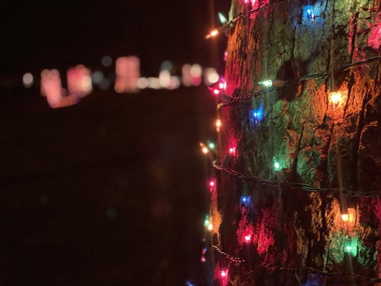 Yuletide Glow: Captivating Holiday Lighting Photos