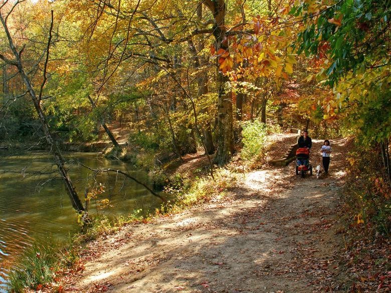 Guided Backcountry Geology Hike at Sweetwater Creek State Park