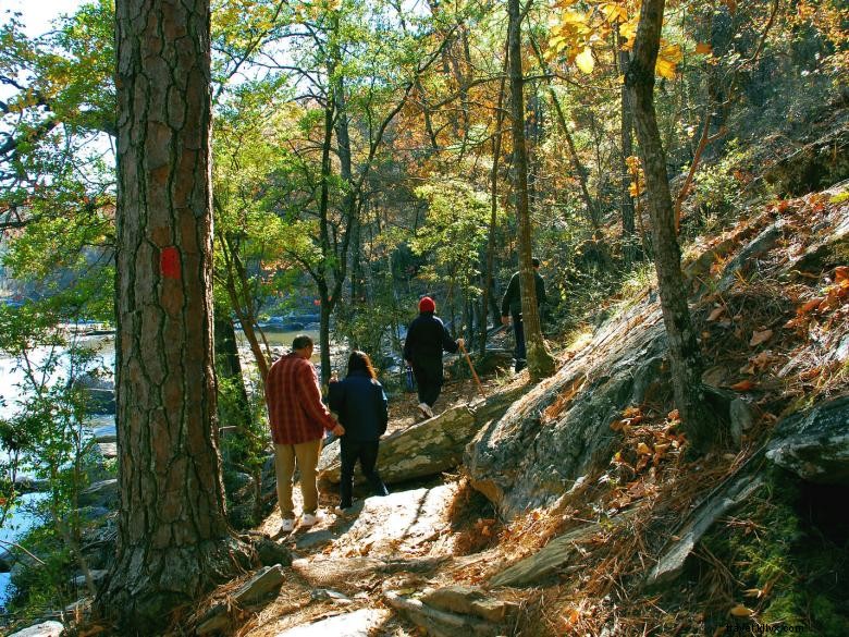 Guided Backcountry Geology Hike at Sweetwater Creek State Park