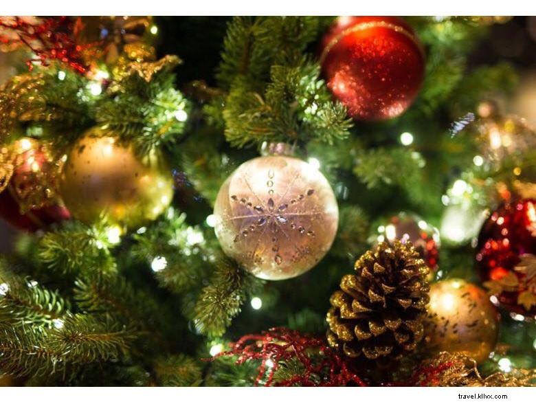 Celebrate Christmas at Laura S. Walker State Park – Hayrides, Caroling, and Holiday Crafts