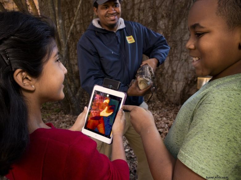 Explore Atlanta s Nighttime Wildlife with Twilight Trek