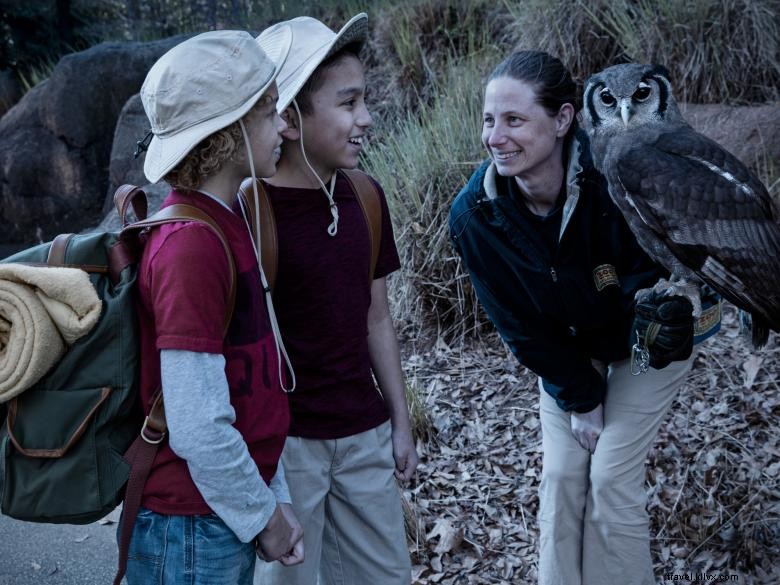 NightCrawler Overnight Program for Schools & Groups