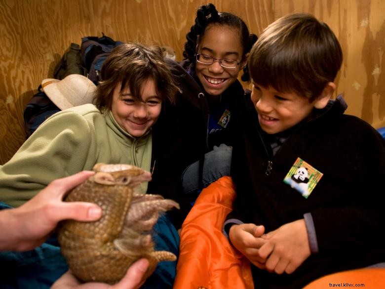 NightCrawler Overnight Program for Schools & Groups